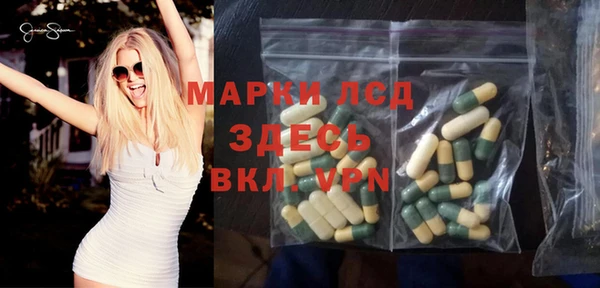 PSILOCYBIN Майский