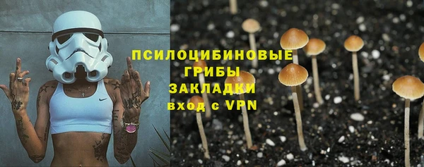 PSILOCYBIN Майский