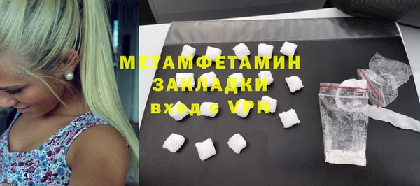 прущие грибы Белая Холуница