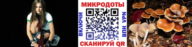 Галлюциногенные грибы Cubensis  даркнет сайт  Лениногорск 