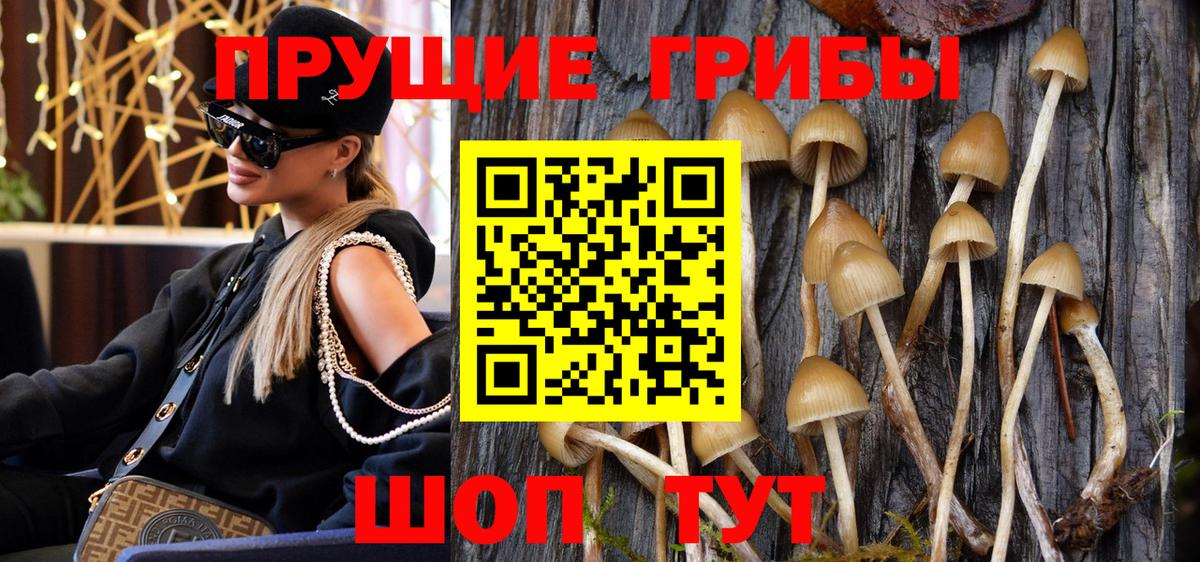 Галлюциногенные грибы мицелий  Вход с VPN  купить наркоту  Лениногорск 