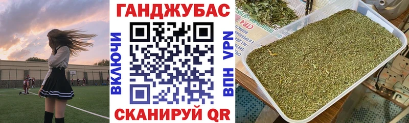 Шишки марихуана план  как найти наркотики  Лениногорск 
